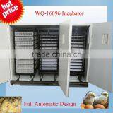 WQ-16896 Eggs Automatic Incubator/egg Incubator Import From Turkey