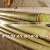 FDZ -0280 natural straight Bamboo Pole for garden decoration