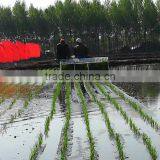 Top Quality High Efficiency 6rows Paddy Rice Planter thumbnail-5