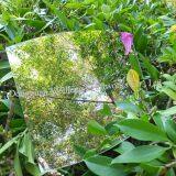 Professional Manufacturer Special Transparent Plastic PC Sheet Plate thumbnail-2