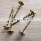 Electro Galvanized 2.5 Inch Screw Shank Twisted Roofing Nail thumbnail-4