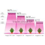 Hydroponics System 1200W LED Grow Light,Indoor Hydroponic Growing Kit thumbnail-5