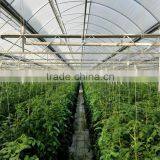 Greenhouse Film/ PC Sheet Covering Multi Span Greenhouse Agricultural Greenhouse thumbnail-3