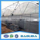 Low Cost Polythene Film Vegetable Greenhouse With Sun Shading thumbnail-3