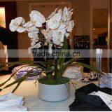 2017 GZ High Quality Colorful Plastic Orchid Flower Factory for Office Decoration Artificial Orchid thumbnail-1