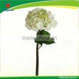 Artificial White Single Hydrangea With Coated thumbnail-1