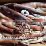Trawlers for Sale of Japanese Squid thumbnail-2