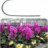 Chinese Factory Outlet Garden Plants Growing Flexible Bamboo Sticks thumbnail-1