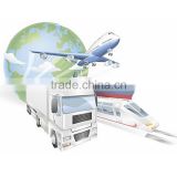 Professional international freight forwarder for air sea freight