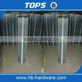 China Low Carbon Hot Dipped 1/4 Inch Galvanized Welded Wire Mesh thumbnail-5