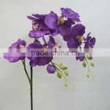 27538 series of hand-painted Multi-colored Beautiful Indoor Plant Orchids