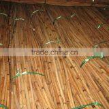 Red Water Rattan Cane thumbnail-4