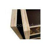 Poplar and Hardwood Construction Plywood Sheets with Mr , WBP , Melamine Glue