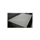 Maple Birch Plywoods With High Quality