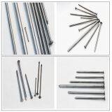 10 Years Factory Common Iron Nail With Best Price thumbnail-3