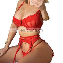 2021 Mature Women Sexy Underwear Lace Lingerie Sexy Lingerie Set High Quality Elegant Red Bra And Panties Hollow Out Bra Set