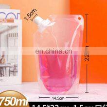 Cheap Household Pouches Refillable Plastic Packaging Bag 100ml Pouch With Spout Cap 500ml for Liquid thumbnail-2