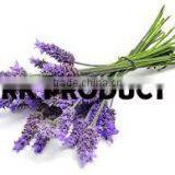 Lavender Essential Oil Indian