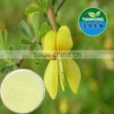 Herbal Genista Extract Genistein