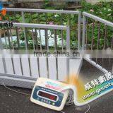 Scs Series Livestock Animal Scale for Sale
