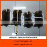 Natural Brown Color Rex Rabbit Fur Skin thumbnail-6