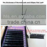 Ellipse Flat Individual Lashes Single Eyelash Extensions Make up Cashmere Volume Eyelash