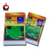 Plastic Premium Photo Paper Packaging Bag