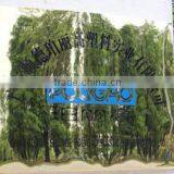 Guangdong Shunde Polygao Plastic Industrial Limited Company company overview - view 1 thumbnail