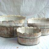 New Style Garden Flower Pot(FSC Certificate)