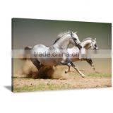Runny Horse Wall Art Giclee Printed Canvas Painting For Livingroom Decor DWYS67