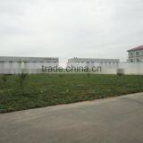 16ga N 38mm Staple thumbnail-6