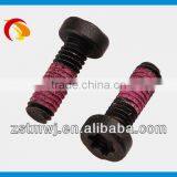 Round Head Torx Slot With Plating Red Glue Machine Screw