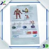 Custom 3D Anatomical Wall Chart Manufacturer