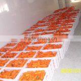 Baby Carrot Fresh From Chinese Carrot Exporter thumbnail-3