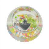 Petrainer PET998N-2 Vibration Electric Dog Collar For 2 Dogs thumbnail-3