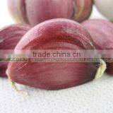 Low Price Garlic Wholesale 5.0-6.0cm Garlic thumbnail-1