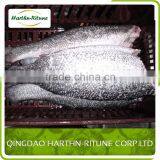 Iqf Frozen Red Tilapia Fillet Fish thumbnail-5