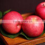 2016 New Crop Gansu Tianshui Huaniu Apple thumbnail-1