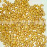 CANNED SOYBEAN IN WATER thumbnail-1