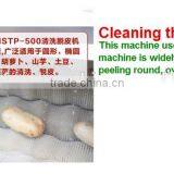 MSTP-500 Automatic Electric Ginger Washing and Peeling Machine thumbnail-4