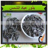 Inner Mongolia Long Type Drying Sunflower Seeds 5009