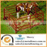 Cheap Metal Tubular Holding Yards Paddock Fence Rails Used Fence Panel for Livestock thumbnail-6