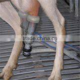 Farm Milking Parlour Plant for Goats and Sheep thumbnail-2