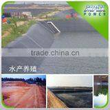 Aquaponics Channel Agriculture With Aluminum Shading Net thumbnail-2