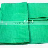 Doyue Tarp , Green pe Tarpaulin for Truck Cover , Building Cover and Garden Shed thumbnail-1