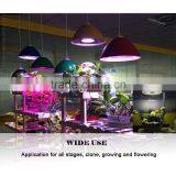 LED Spot Lighting Project Agriculture Using LED Grow Light Bulb 18W thumbnail-5