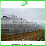Multispan Tunnel Greenhouse for Strawberry Grape Raspberry , Agricultural Green Houses thumbnail-2