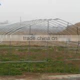 BaoLiDa Low Costagricultural Plastic Film Covering Tunnel Greenhouse thumbnail-1