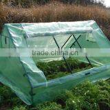 Mini Cloch Growhouse for Plant thumbnail-1