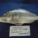 Emperor Whole Gutted thumbnail-1